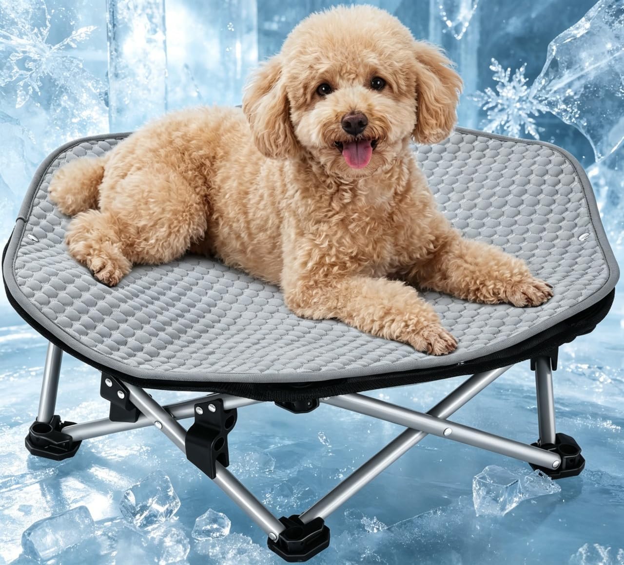 Pecute Foldable Elevated Dog Bed