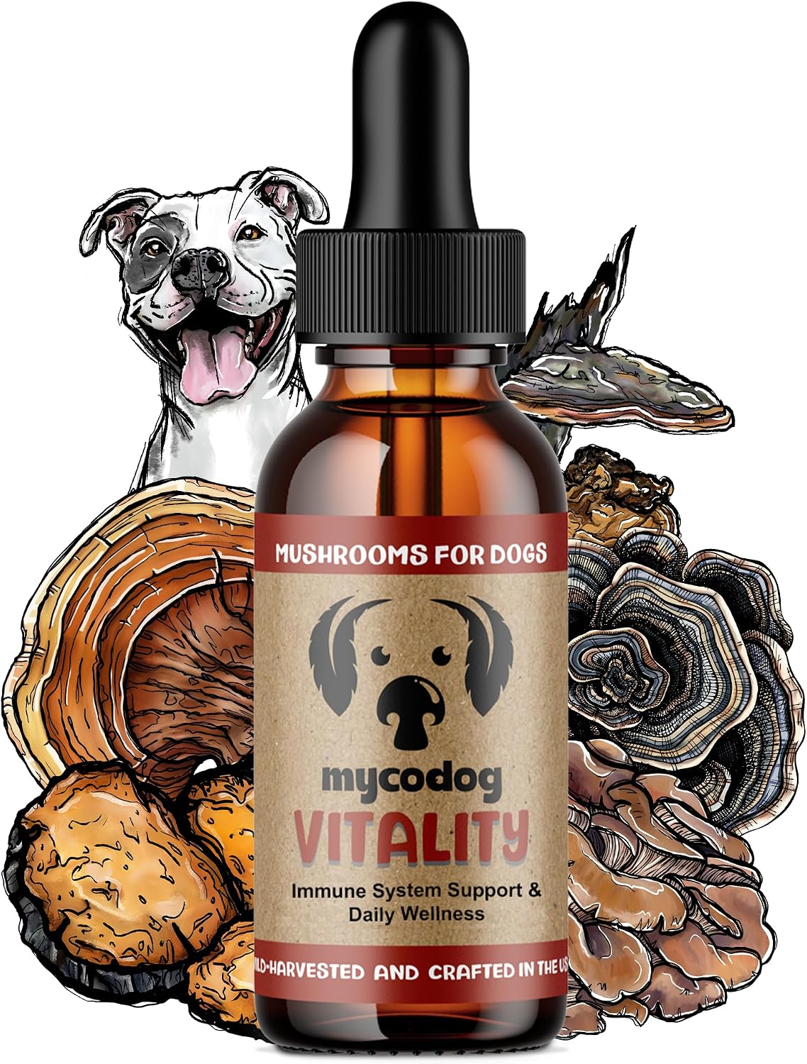MycoDog Vitality Mushroom Supplement