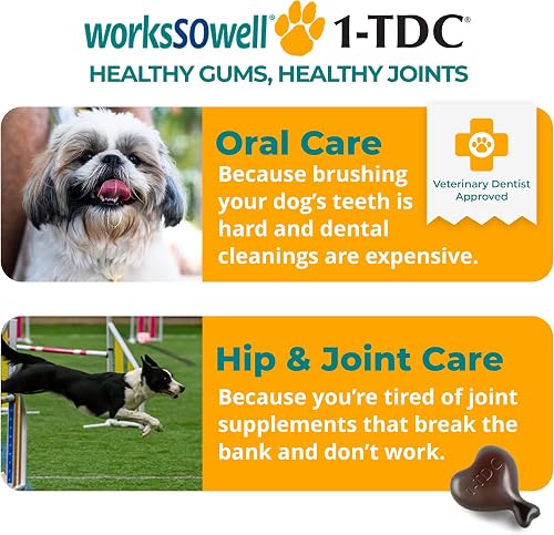1-TDC infographic showing dual oral care and hip and joint care for dogs
