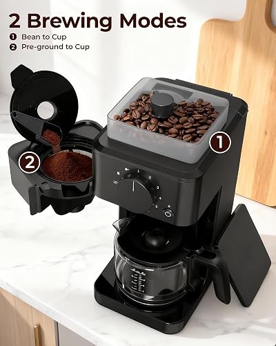 Avigator panel illustrating bean-to-cup and pre-ground brewing modes