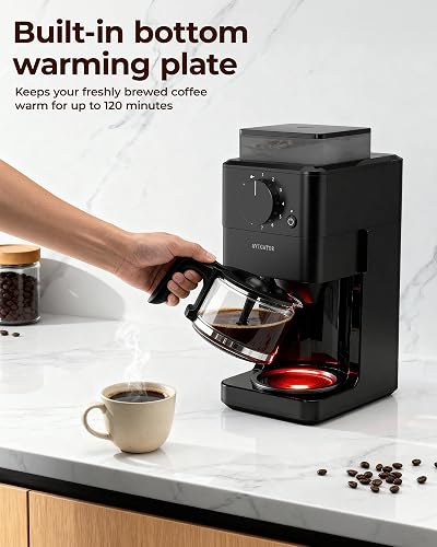 Avigator warming plate keeping a full glass carafe hot on a kitchen counter