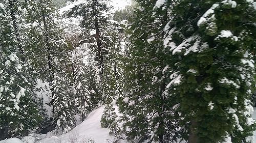 Image quality comparison sample