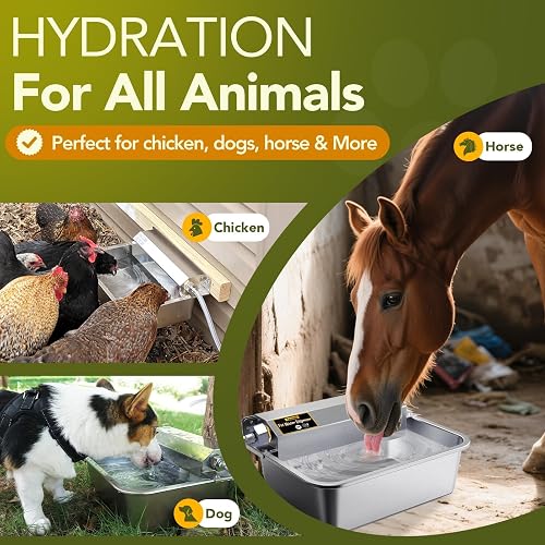 Ficuswin dog water dispenser mounted and refilling from a garden hose faucet