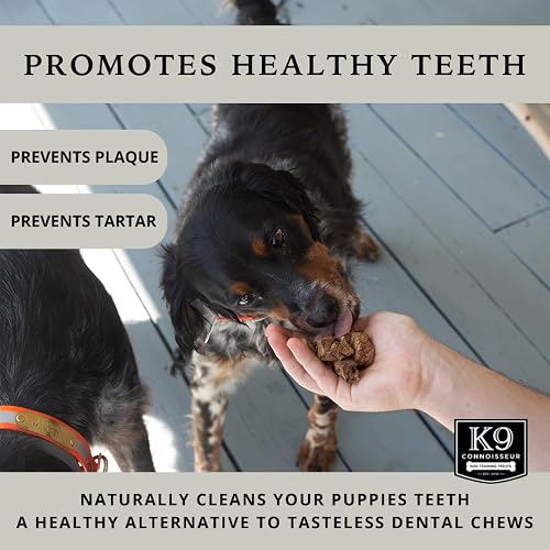 A hand feeding K9 Connoisseur beef lung treats to a dog, with on-pack claims that the crunch helps prevent plaque and tartar