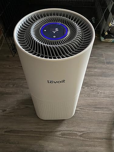 Customer photo showing Levoit LV-H135 air quality indicator in use