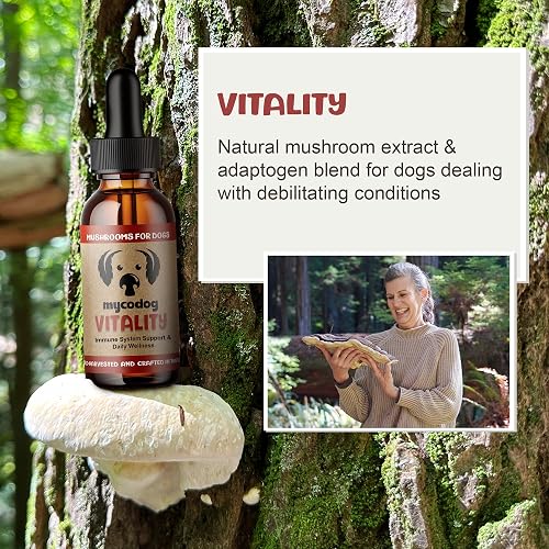 MycoDog Vitality mushroom tincture for dogs bottle and dropper