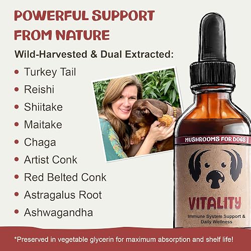 MycoDog Vitality 20-in-1 mushroom and adaptogen supplement for dogs