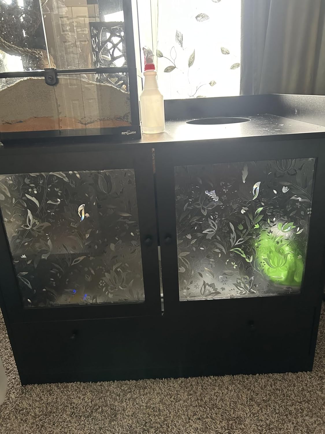 Robotail Open Top Litter Box Review: Is It Worth It?