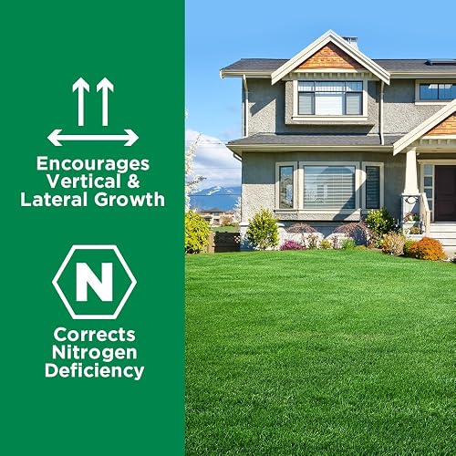 Simple Lawn Solutions graphic noting the 28-0-0 formula encourages vertical and lateral growth and corrects nitrogen deficiency