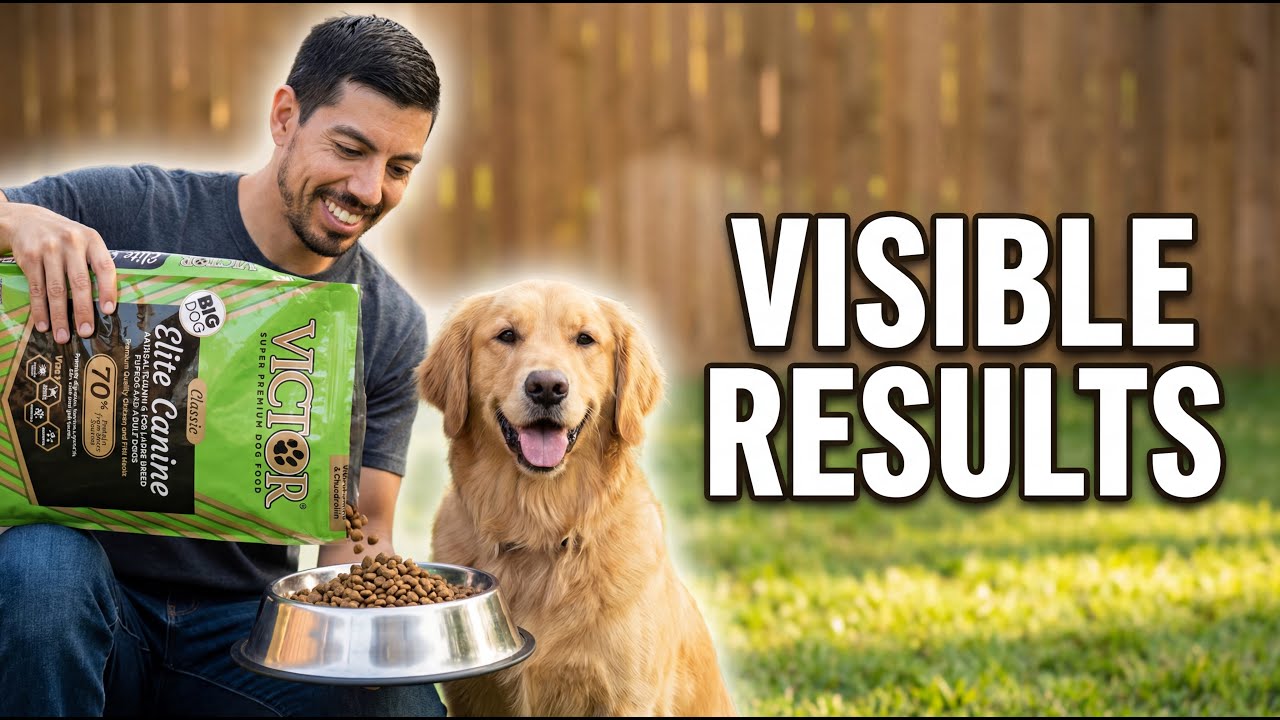 VICTOR Super Premium Nutra Pro Dog Food Review: 3 Weeks of Real Testing