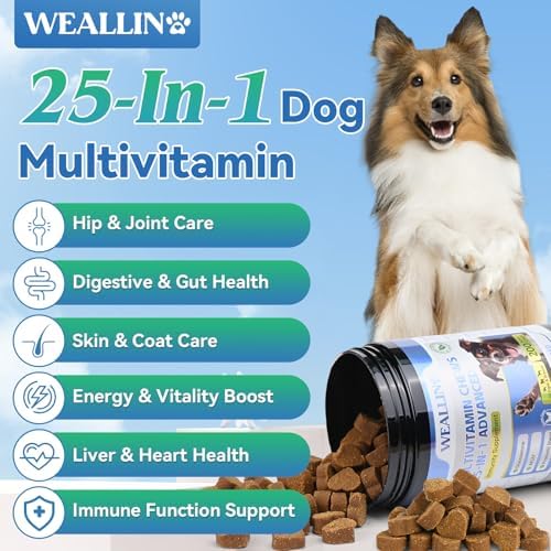 Close-up of the WEALLIN dog multivitamin chew showing its soft, bite-sized texture