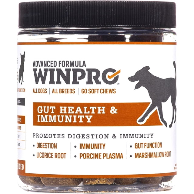 WINPRO Dog Gut Health Supplement canister showing plasma-powered formula