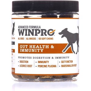 WINPRO soft chew dog supplement – bite-sized format for easy daily dosing